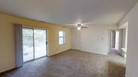 This single-floor space features a spacious, open living area finished with wall-to-wall carpeting in a neutral tone, contributing to a clean and comfortable atmosphere. The room is painted in a soft yellow hue on one wall, complemented by crisp white walls and white trim throughout, creating a light and airy feel. A ceiling fan with an integrated light fixture is centrally mounted, providing both air circulation and ambient lighting.

Natural light enters generously through a sliding glass door that leads to a balcony with a metal railing, offering views of surrounding greenery and trees. An additional window on the same wall further enhances the brightness of the room. White baseboards frame the perimeter of the space neatly.

A louvered bifold door is visible along one wall, likely concealing a closet for storage. Multiple electrical outlets and switch plates are evenly distributed along the walls. The overall layout is open and versatile, well-suited for a variety of furniture arrangements. The combination of natural light, outdoor access, and functional features gives this space a practical yet pleasant character.
