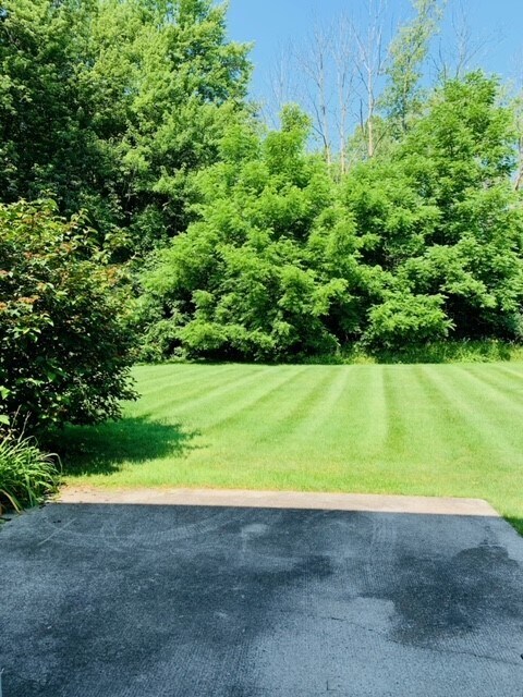 Gorgeous backyard that backs to woods - 23 Willowick Dr