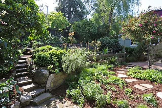 garden - 719 Jean St