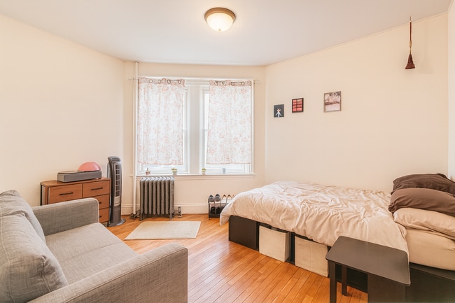 Building Photo - 62 Egmont St