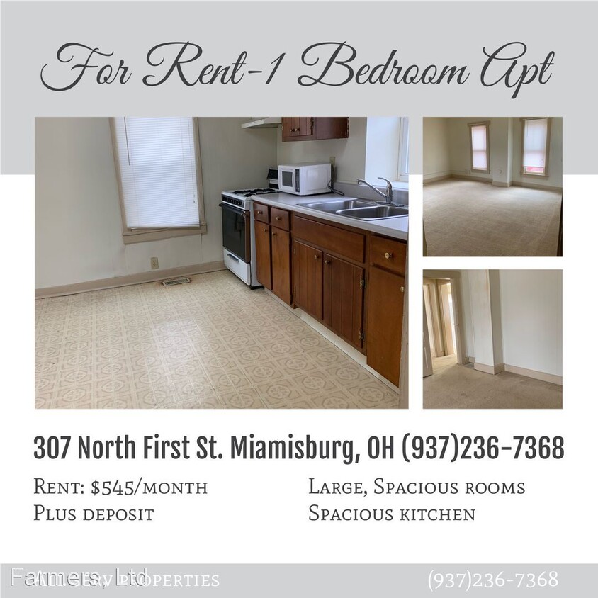 Foto principal - 305-307 N 1st St