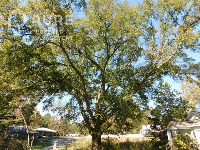 Building Photo - 5208 Highland Ave