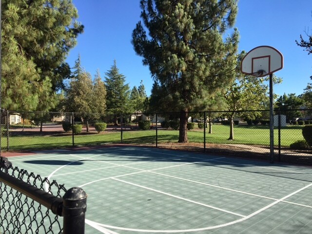 Sport Court - 2235 Bayo Claros Cir
