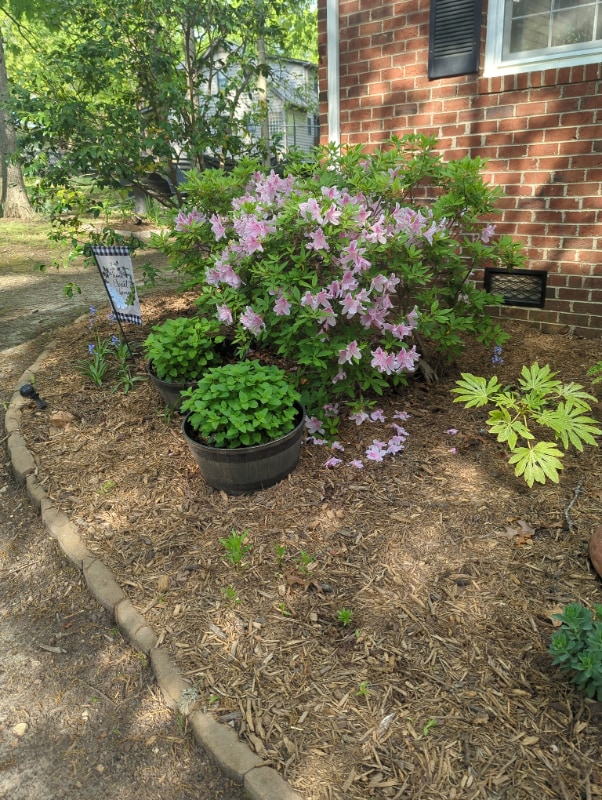 Foto del edificio - 114 Wythe Cir