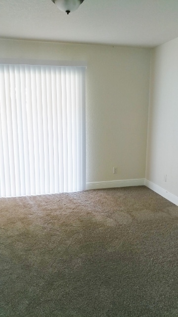 Building Photo - Newer 3/2 Townhome in Inverness!!!