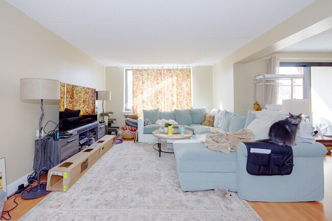 Building Photo - Modern, Spacious Allston Apt w/ Washer & D...