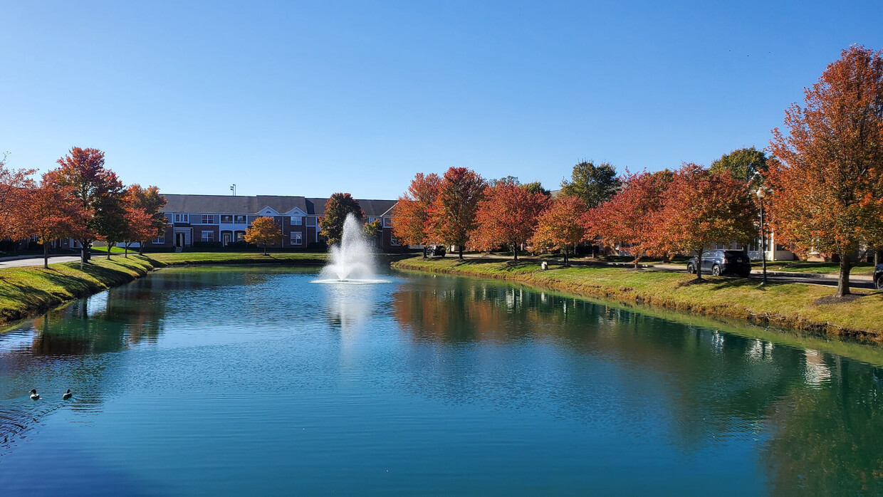 Primary Photo - Pebble Brook Village