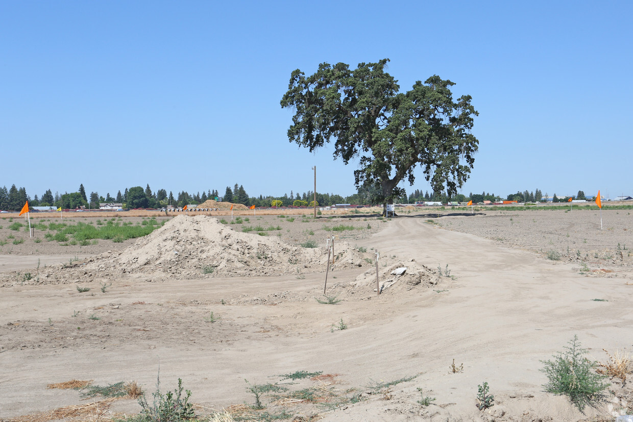 Primary Photo - Grand Oak Apartments