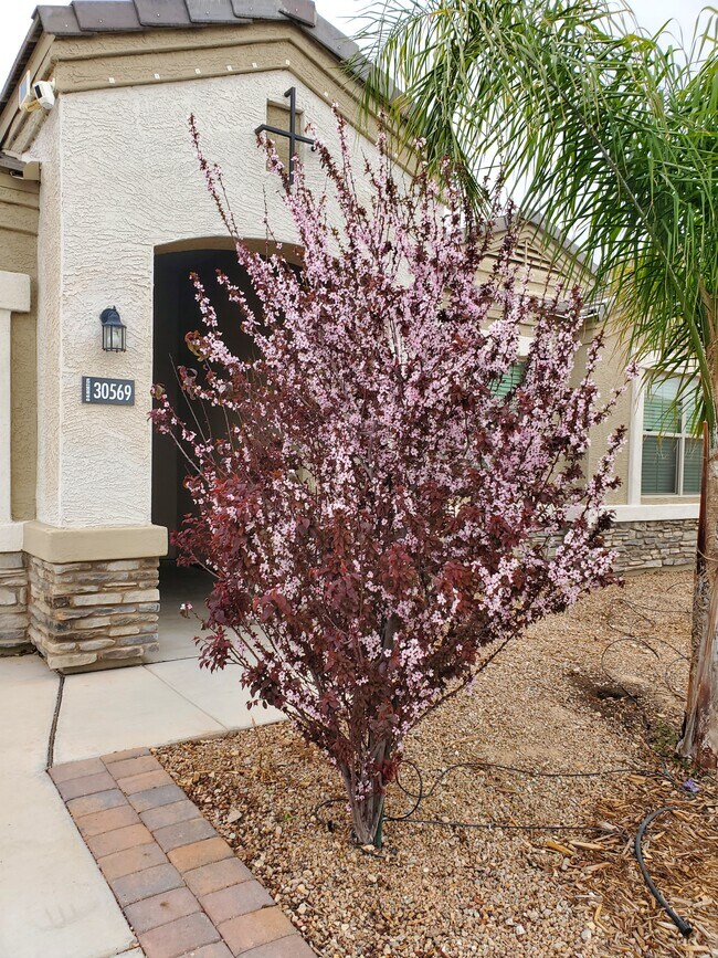 Building Photo - 30569 W Whitton Ave