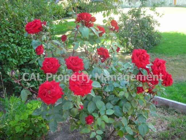 Foto del edificio - 3 bedroom/ 2 bath South Salinas home!