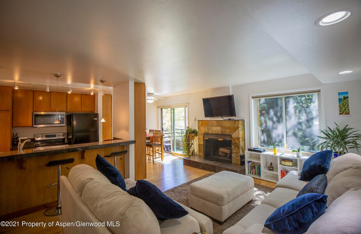 Two Bedroom in Snowmass Village - Two Bedroom  in Snowmass Village