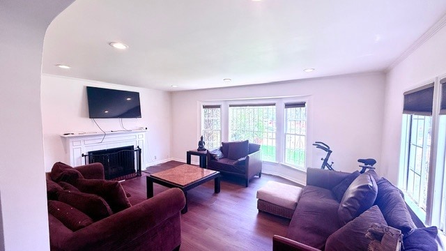 Living Room - 3619 Dunn Dr