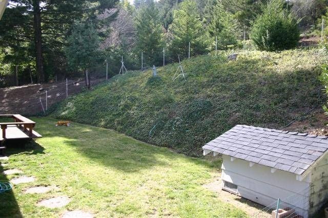 Building Photo - Charming mountain home with pool