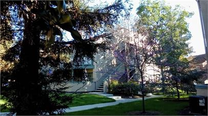Building Photo - 3545 W Greentree Cir
