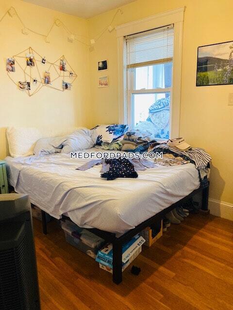 Foto del edificio - 40 Windsor Rd