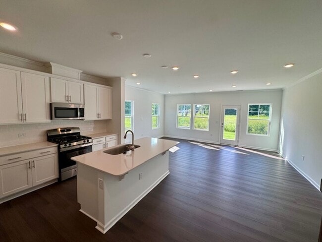 Building Photo - Brand New Townhome!