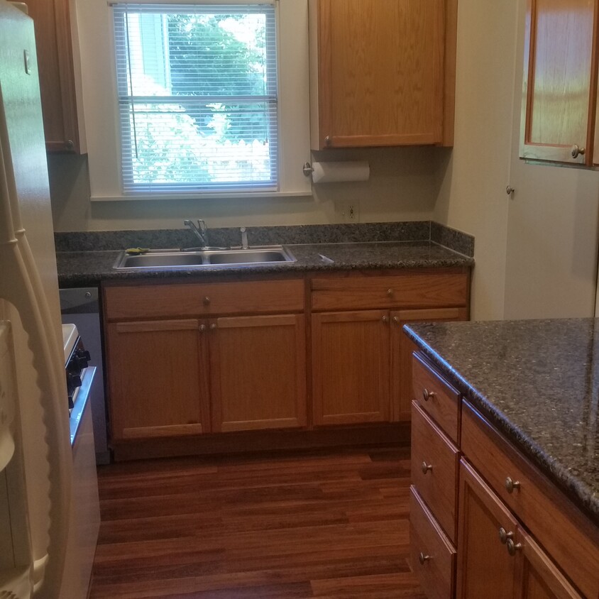 Modern, completely updated kitchen with granite countertops, gas range, frig with icemaker and water in the door, built-in microwave, and Disposall. - 203 Joliet Ave
