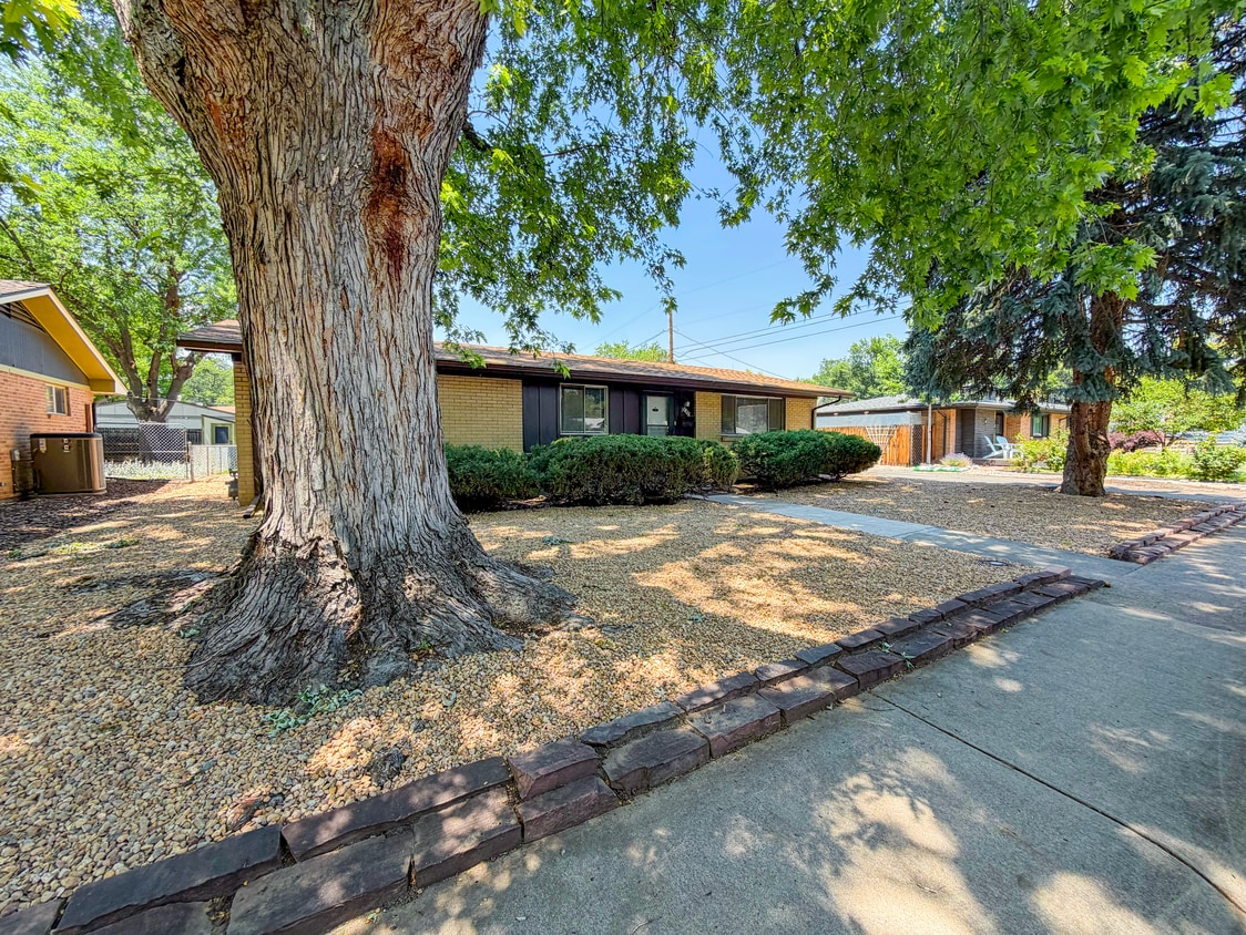 Photo - 1033 Grant St (Longmont, CO)