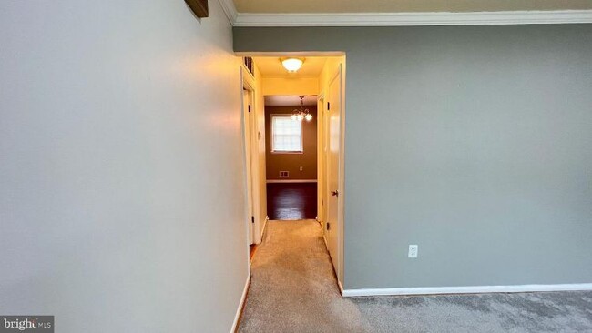 Foto del edificio - 6526 Beechwood Dr