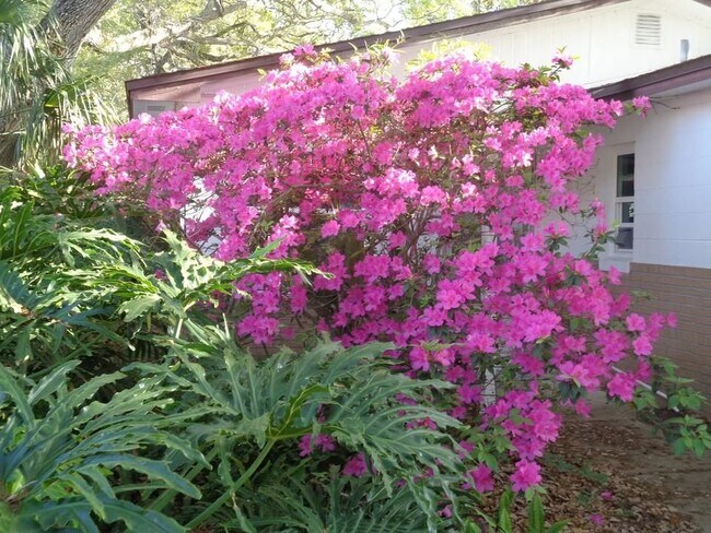 Foto del edificio - 799 E 10th Ave