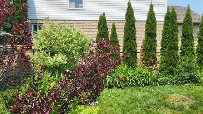 Cour vue 1, entièrement clôturée - 63 Georgian Meadows Dr