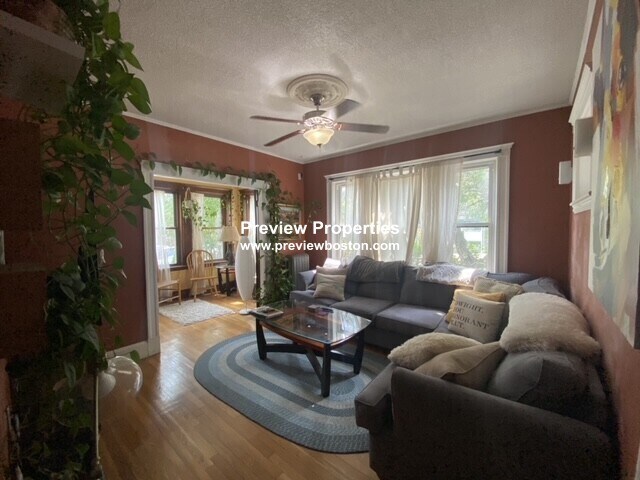 Primary Photo - 255 Faneuil St
