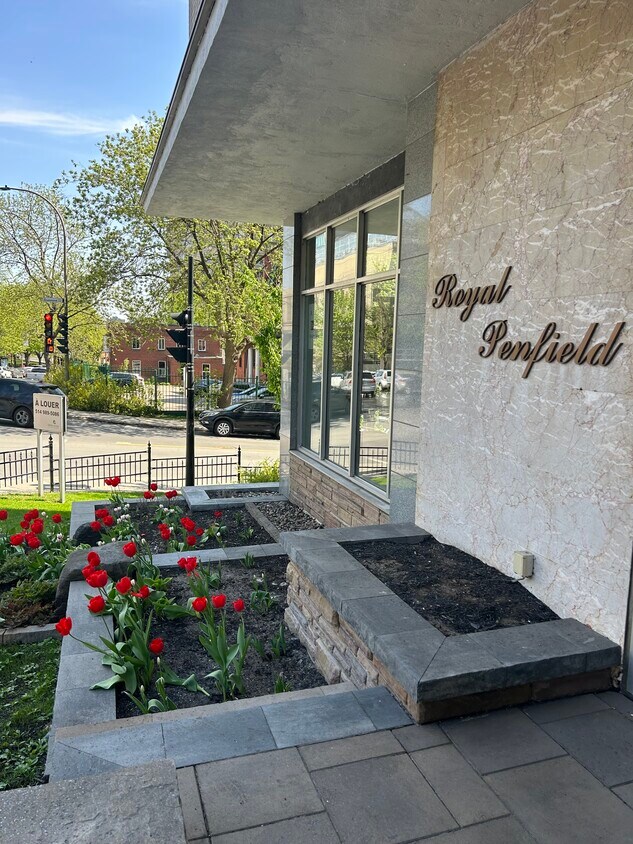 Photo principale - Royal Penfield