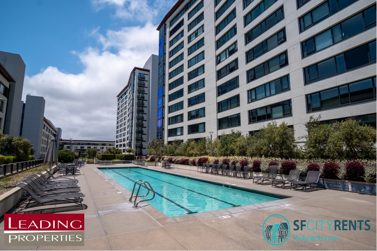 Foto principal - The Beacon: Jr 1 Bed w/ Parking Included, W/D in unit, Pool, Hot Tub, Shared Roof Deck, Dog Park,...