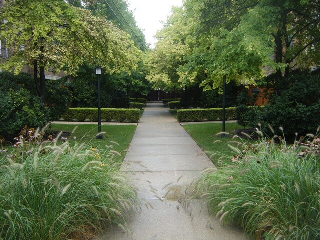 Garden by Entrance - 7233 Franklin St