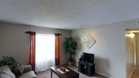 This single-floor space offers a comfortable and functional layout centered around a well-appointed living room. The room features a textured ceiling that adds visual interest overhead, while neutral-toned walls provide a clean, versatile backdrop throughout. A large window dressed with rich, burnt-orange curtains allows natural light to fill the space, creating a warm and inviting atmosphere. The living room is thoughtfully arranged with a dark wood coffee table as a central focal point, complemented by a media console that houses a flat-screen television. A decorative diamond-shaped wall piece with gold accents adds an artistic touch, while a track light fixture provides targeted illumination. A lush indoor potted tree brings a natural, organic element to the room, adding life and color to the neutral palette. Soft carpeting underfoot enhances the cozy feel of the space. Together, these elements create a relaxed yet stylish environment that balances practicality with comfort, making this single-floor space an approachable and welcoming place to spend time.