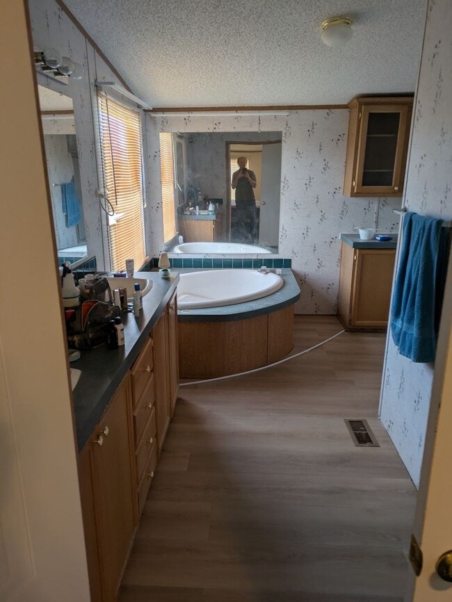 Master bathroom - 230 Mountain Meadow Rd
