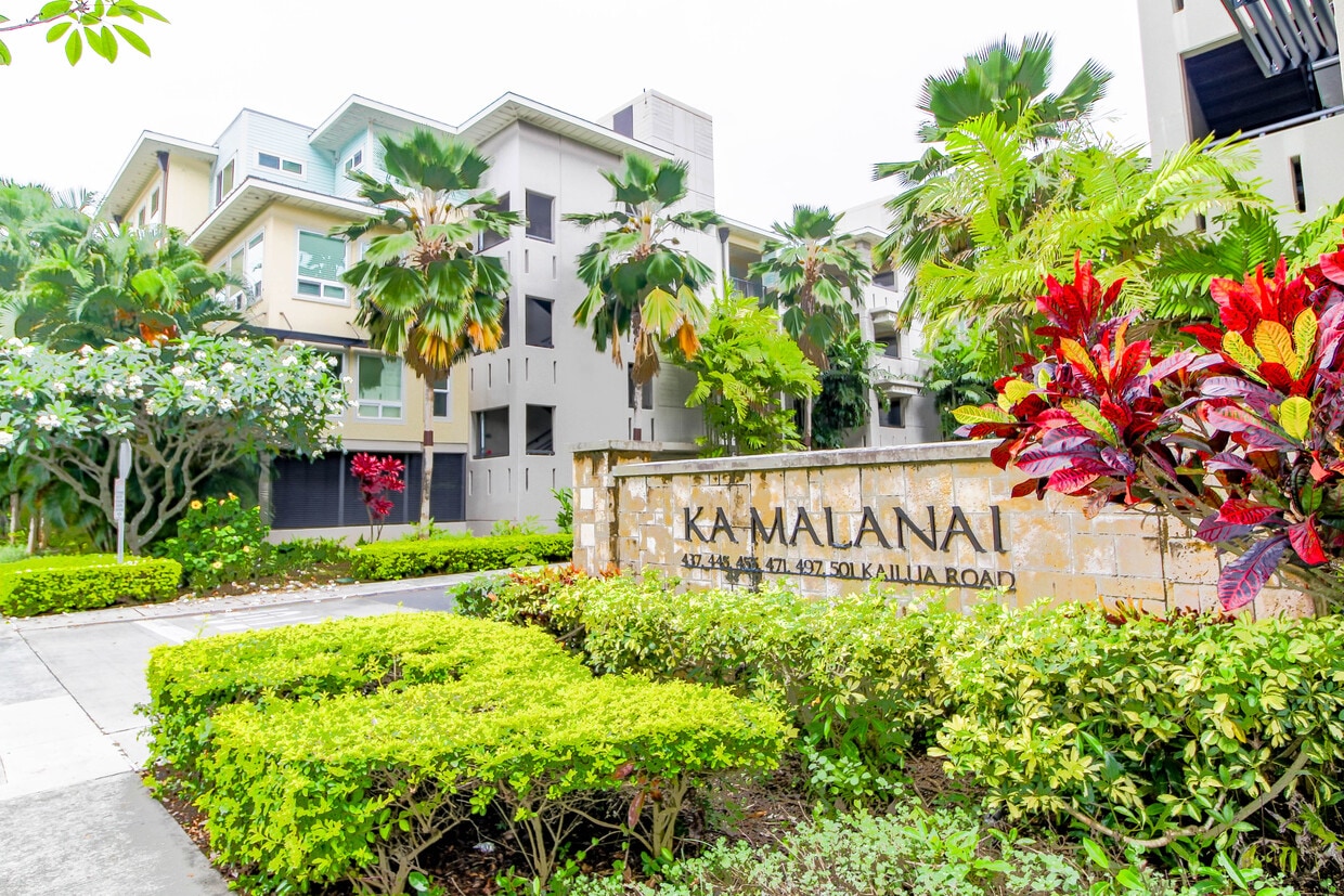 Primary Photo - 497 Kailua Rd