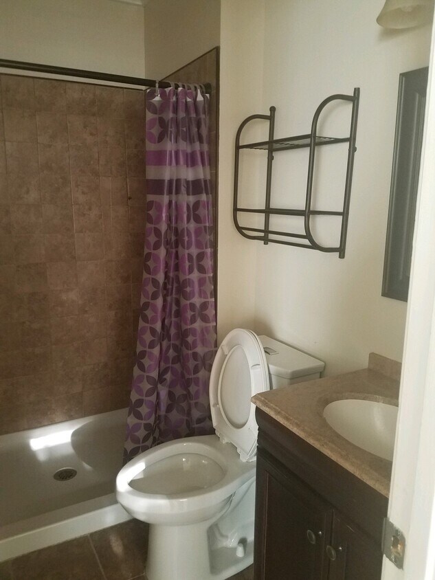 3rd Floor - Master Bathroom - 4410 Lieutenant Lansdale Place
