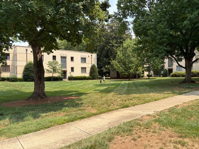 Building Photo - 1/2 MONTH OFF SPECIAL - Dilworth -Historic Myrtle Sq 1 bed 1 bath condo