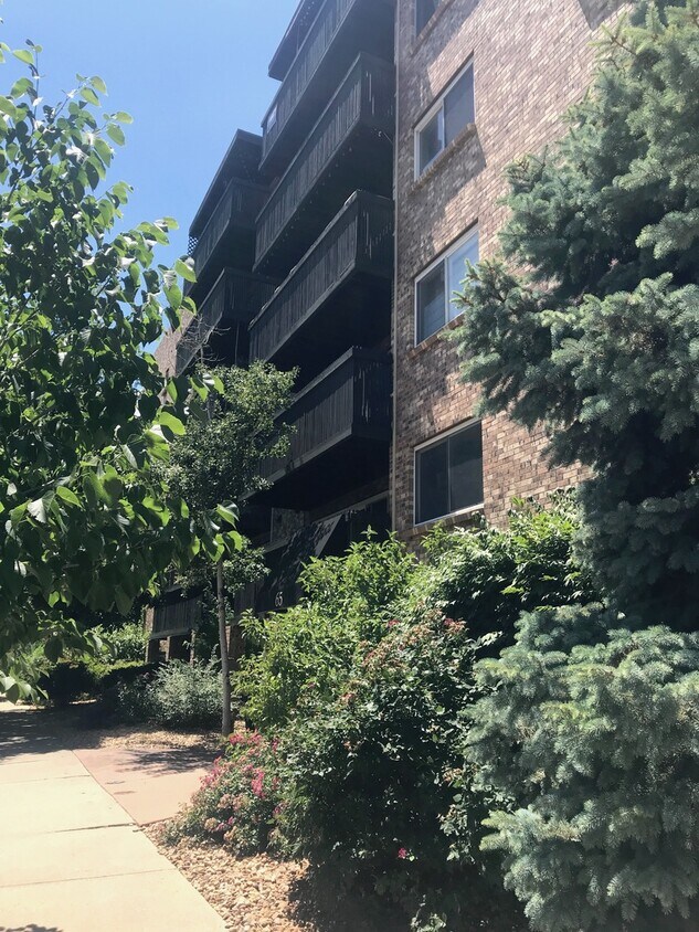 Primary Photo - Studio Apartment in Awesome Denver Location!