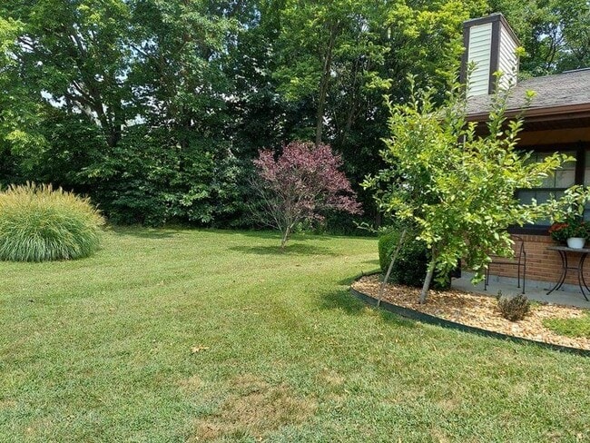 Property is last home in the row and backs up to wooded area and large yard area. - 48 Rabbit Trail Dr
