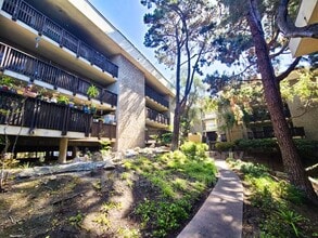 Building Photo - 6304 Friars Rd