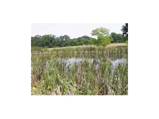 Primary Photo - Twin Lakes