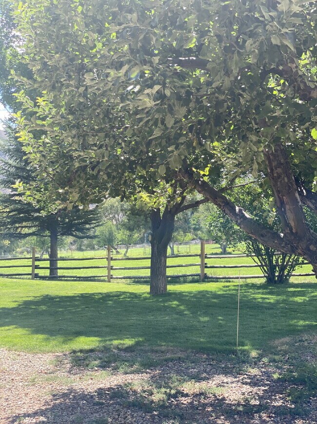 Foto del edificio - Country Living, 3 Bedroom, 2 Bath Home in New Castle