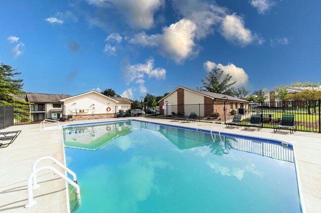 Piscina y solarium - Saddlebrook