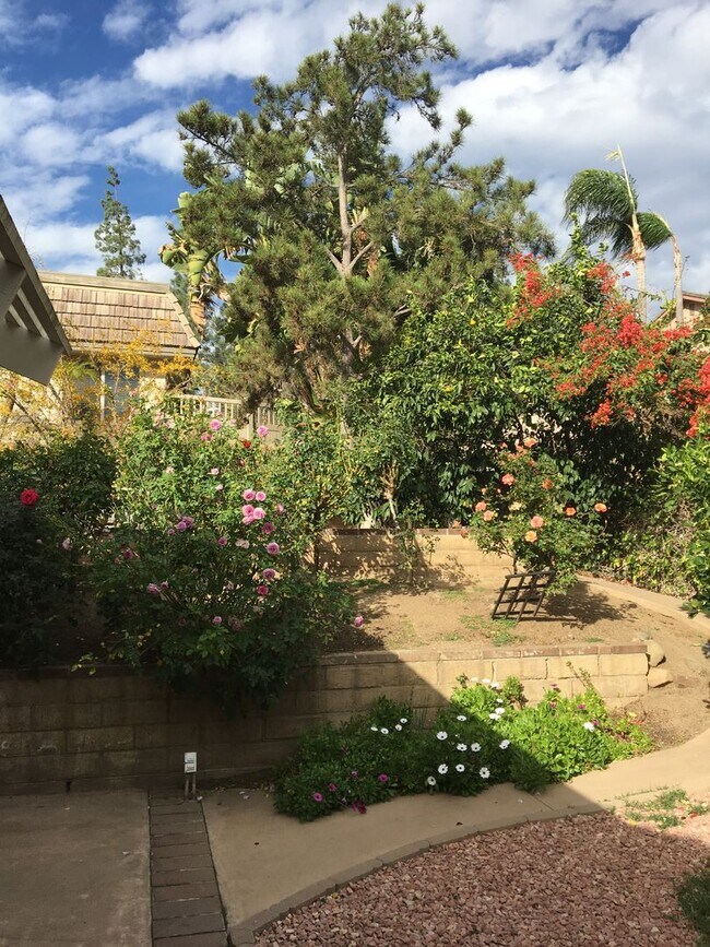 Foto del edificio - 4BD 2.5BA House located in Vineland Hills of Poway