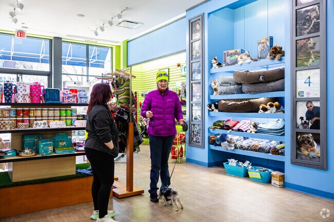 Two Bostons is a pet boutique featuring a robust selection of food, treats, toys, and more.