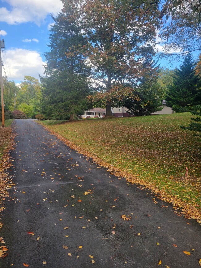 253 Grade Rd Unit B, Falling Waters, WV 25419 Apartments in Falling