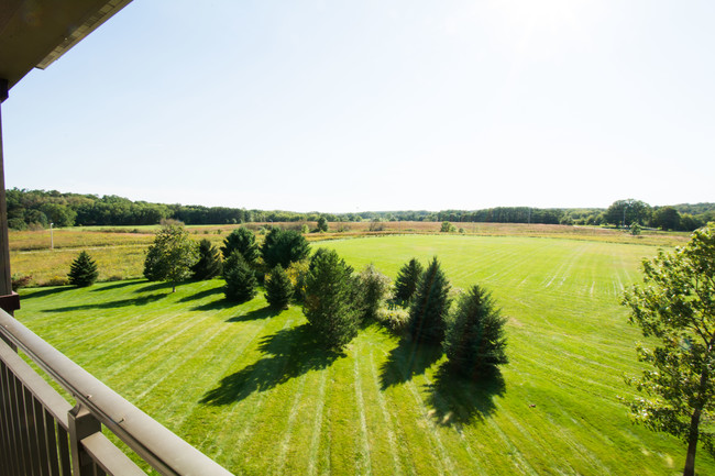 View of Natural Prairie Reserve - Woodland Fields