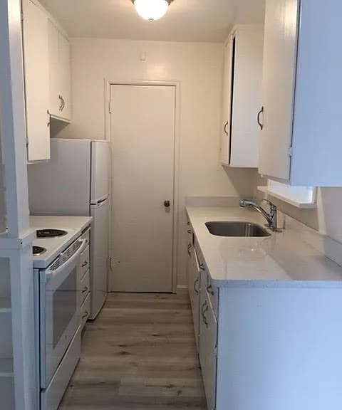 Building Photo - 1956 Ivy St