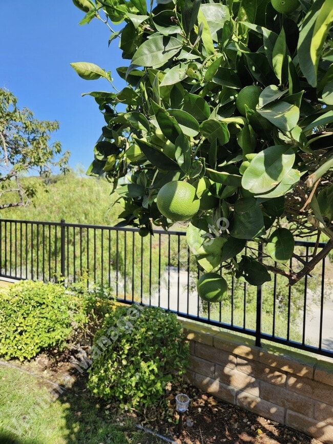 Foto del edificio - 5885 Indian Pointe Dr