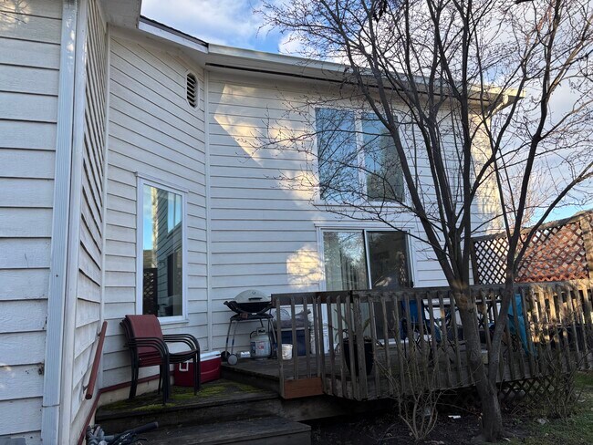 Terraza trasera y cocina/comedor abovedados - 1041 E Main St