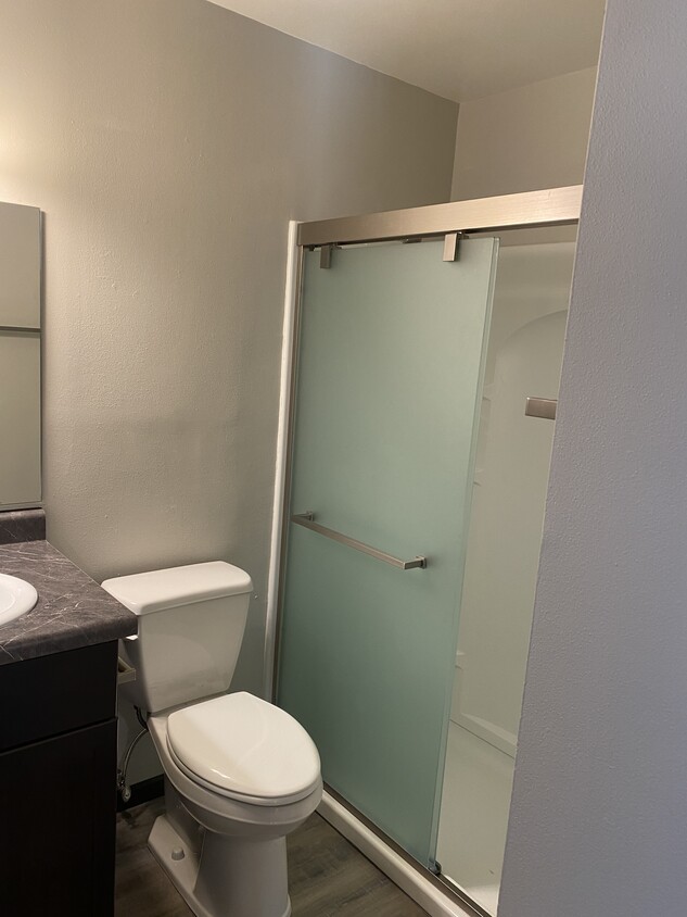 Bathroom - 106 South St