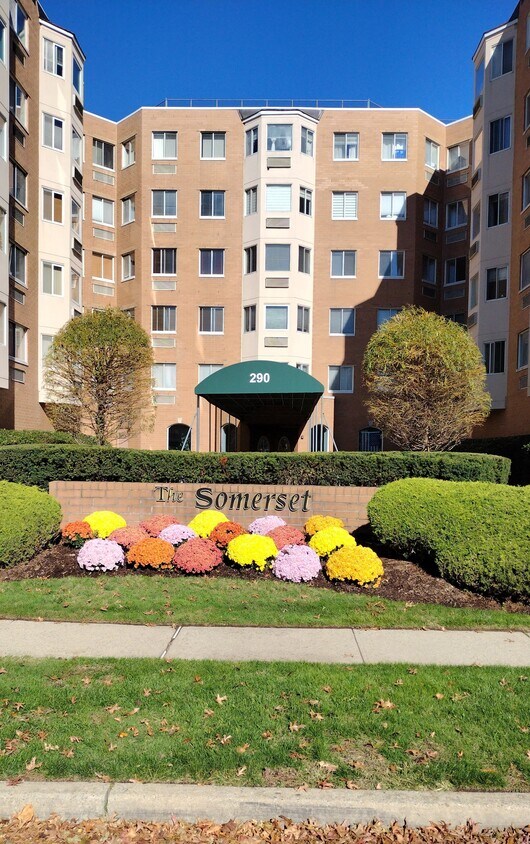 290 Anderson St Unit 5B, Hackensack, NJ 07601 Condo for Rent in