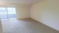 This single-floor space offers a clean, open layout designed for comfortable everyday living. The main living area is expansive and unfurnished, allowing for flexible arrangement to suit a variety of needs. Soft, neutral-toned carpeting covers the floors throughout, providing warmth and comfort underfoot, while the light cream walls contribute to a bright and airy atmosphere.

Natural light is a defining feature of the space, with a large sliding glass door along one wall that not only floods the interior with daylight but also provides direct access to an outdoor area, likely a balcony or patio, offering views of lush greenery beyond. The sliding door is fitted with vertical blinds, allowing for adjustable light control and privacy.

The overall design is simple and functional, with clean lines and a neutral color palette that serves as a versatile backdrop. The absence of built-in clutter or ornate detailing keeps the space feeling open and unimposing. Smooth, white ceilings complement the light walls, reinforcing the sense of openness throughout. This space is well-suited for those who value a straightforward, adaptable living environment with a connection to the outdoors.